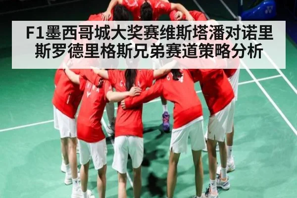 F1墨西哥城大奖赛维斯塔潘对诺里斯罗德里格斯兄弟赛道策略分析